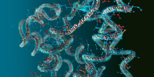 Complex protein molecule