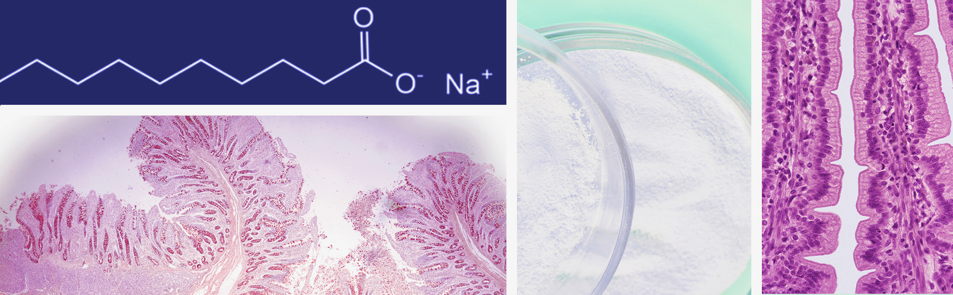 Advanced Powder Dynamics Advanced Powder Dynamics, a Tesseract Life Sciences Company, announces ...